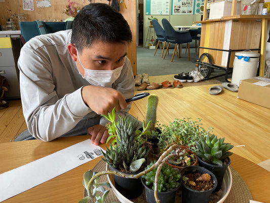 春にぴったり、植物たちのファブリックポスターができるまで