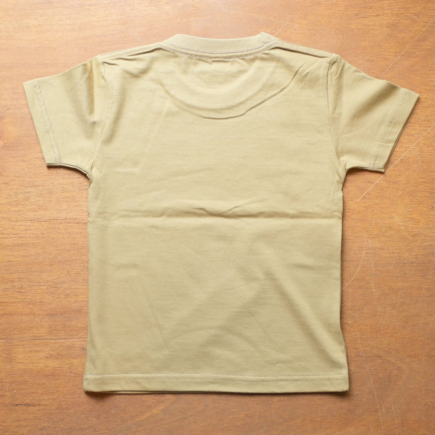 【新商品】デイリーこどもTシャツ（ステゴサウルス 110㎝/120㎝）｜恐竜シリーズ（2点以上購入で500円オフ対象）