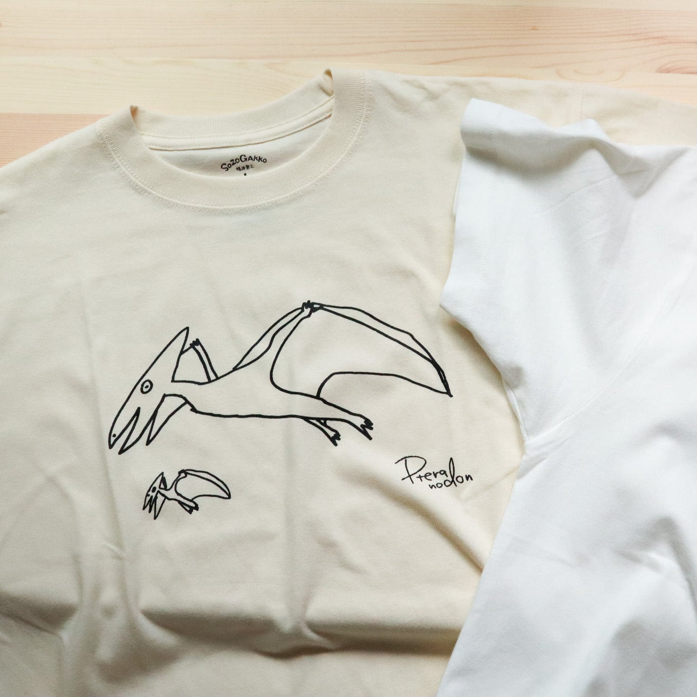 【新商品】デイリーTシャツ（プテラノドン）｜恐竜シリーズ（2点以上購入で500円オフ対象）