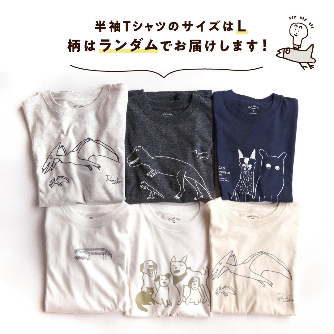 【福袋2026】ミイラのどでかハッピーバッグ（9点入り・限定20個）