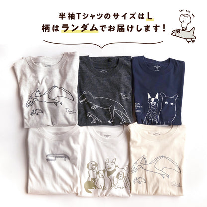 【福袋2026】ミイラのどでかハッピーバッグ（9点入り・限定20個）